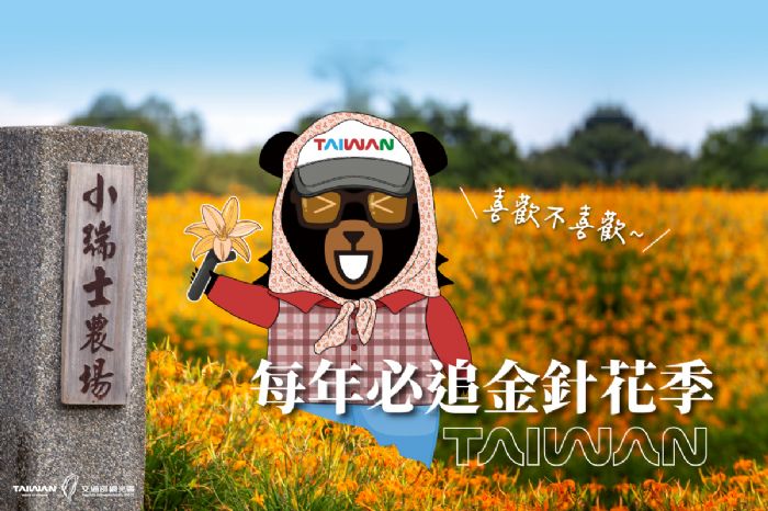 花蓮金針花季浪漫登場，夢幻黃金花海迎夏限定活動